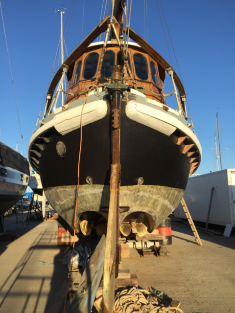 Cecil &amp; Lilian Philpott ON730