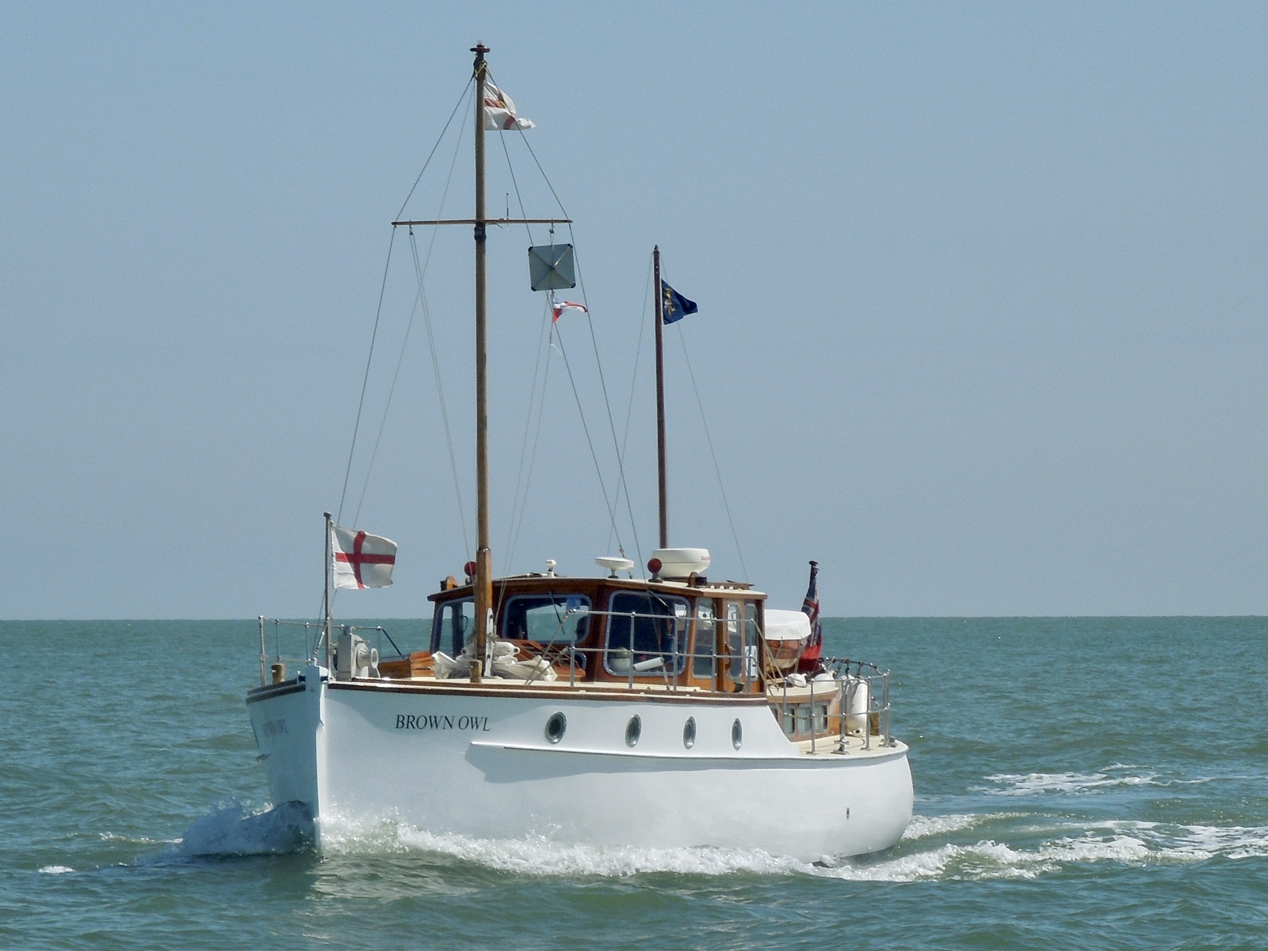Wairakei (Brown Owl)