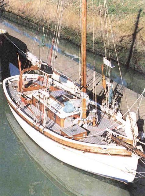 Cachalot