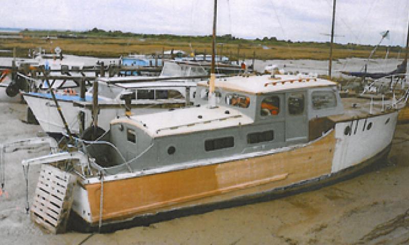 Gerfalcon restoration 2025