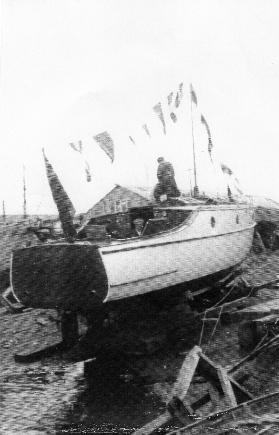 Margo II