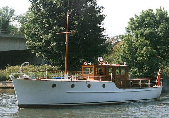 Mimosa