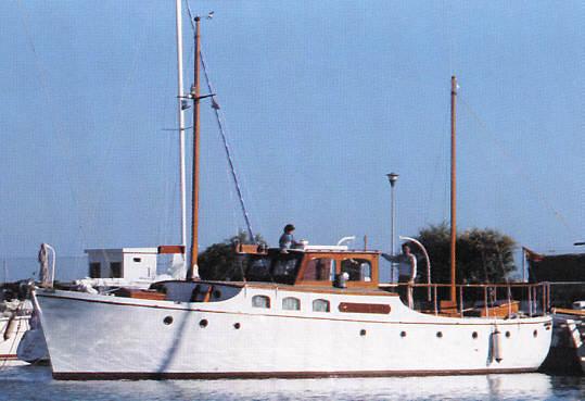 Moiena