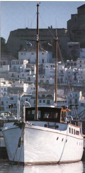 Moiena