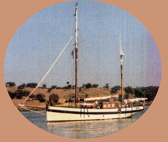 OurLizzie