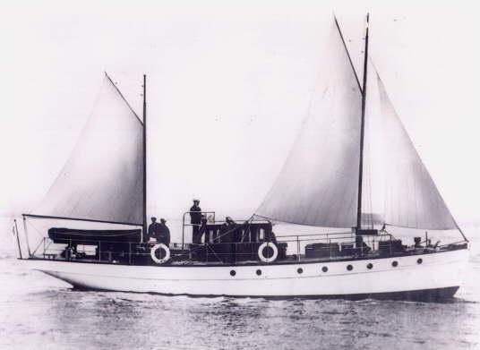 Skylark (Tahilla)