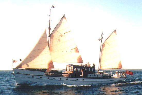 Skylark